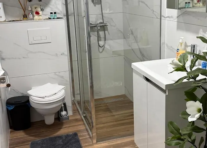 Vuk Appartement Vrnjačka Banja